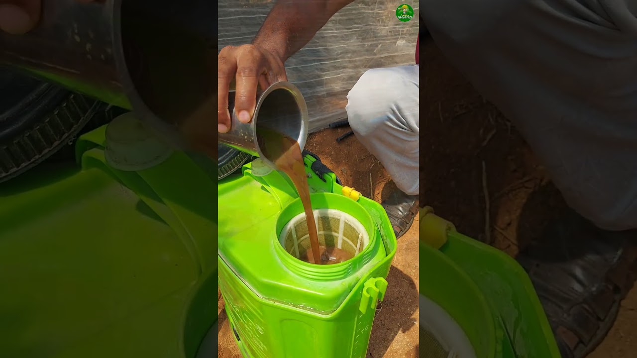🔥Easy way👌🏻 Giving fertilizer via drip irrigation! #farminglife #dripirrigation #short