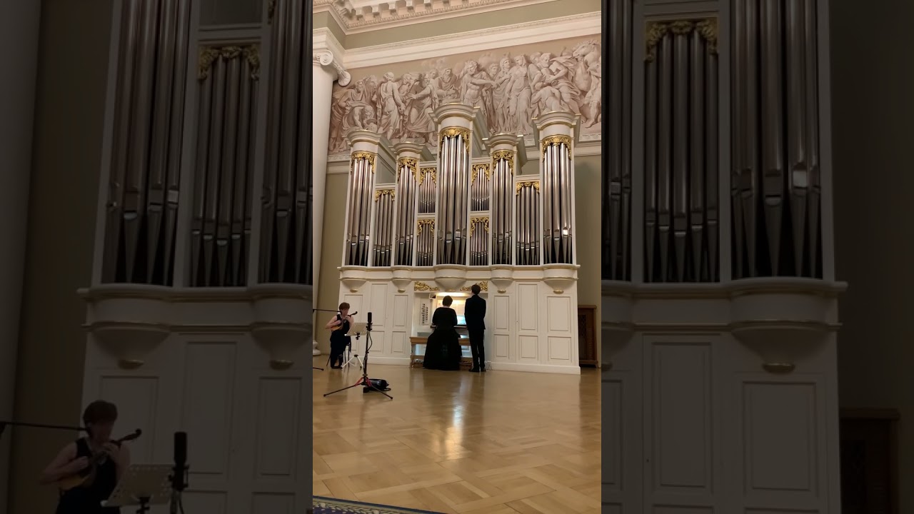 Л.Боккерини(1743-1805)Менуэт из струнного квинтета op.13 #organ #livemusical #classicalmusic