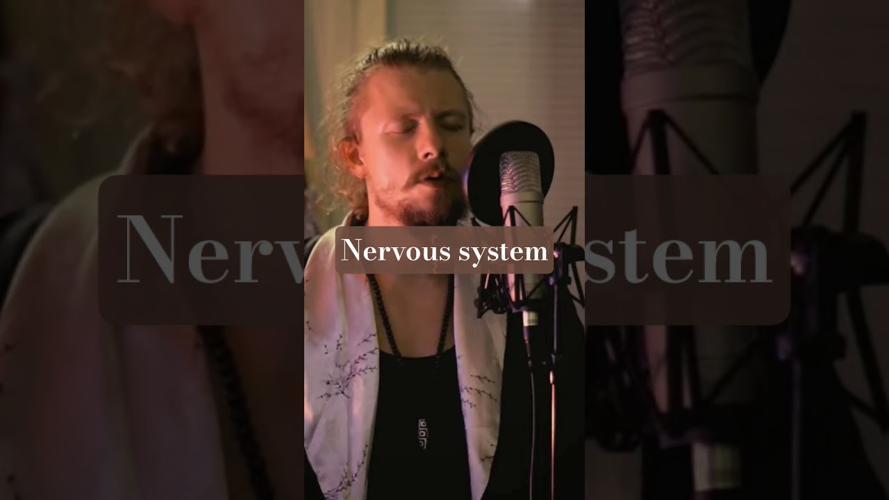 Your system reacts 