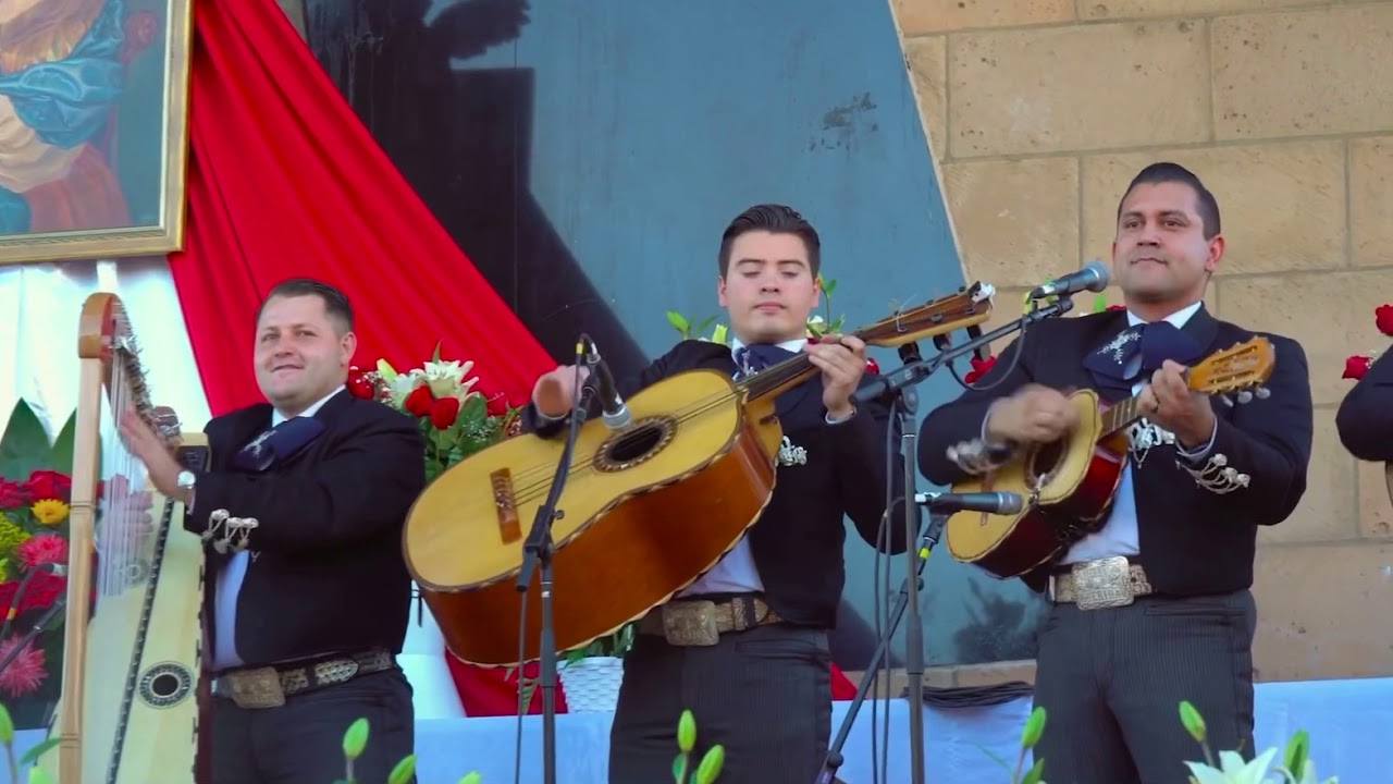Tema y Relámpago (feat. Mariachi Tierra Querida de Ismael Hernández)
