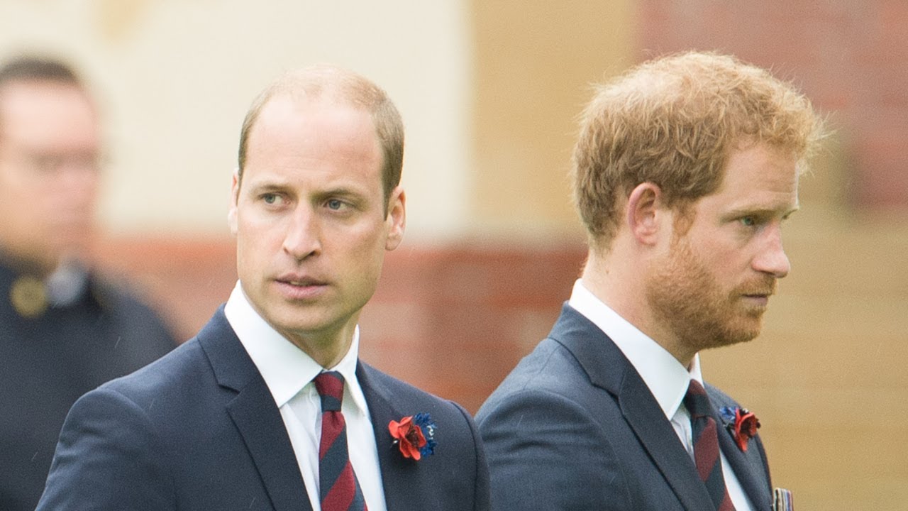 Prince William has 'no reason' to see Prince Harry in UK