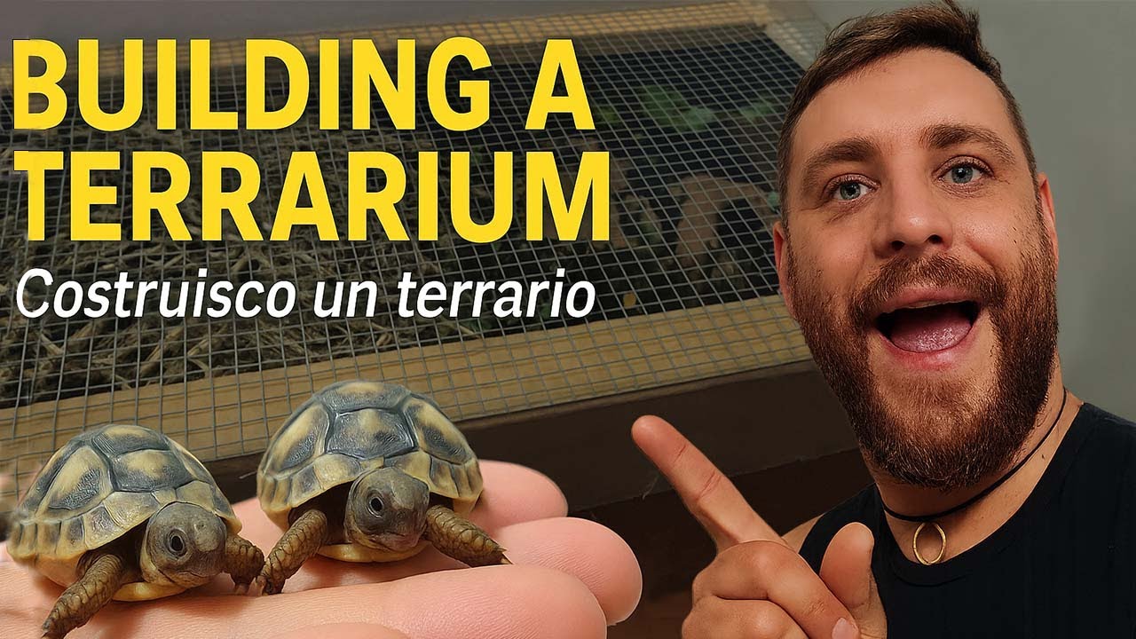 Terrario per il letargo delle baby tartarughe fai da te - Terrarium for Baby Tortoises hibernation