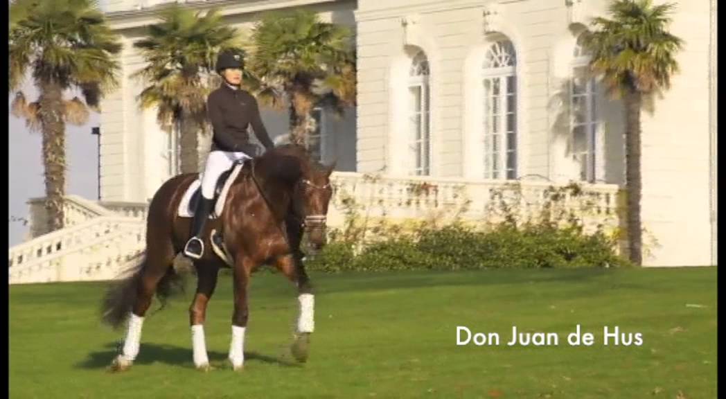 Don Juan de Hus