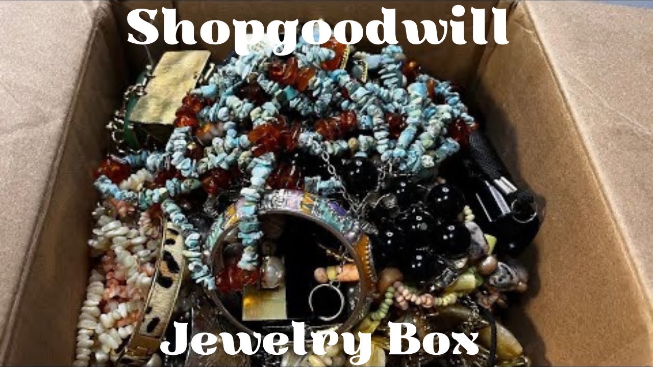 5.85 lb Shop Goodwill Jewelry Lot: Turquoise, Amber, Pearls
