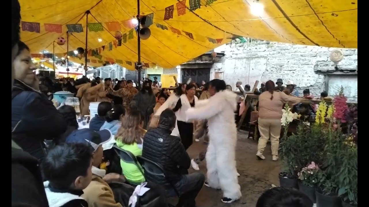 Danza De Los Lobitos 2024 Honor Divino Salvador San Pedro Tlaltizapan