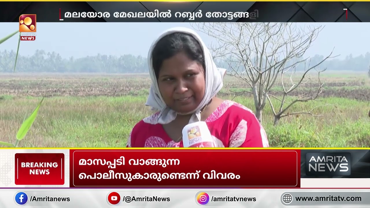 വെറുതെ കളയുന്ന തോട്ടപയറിന് ഇത്രയും വിലയോ?
