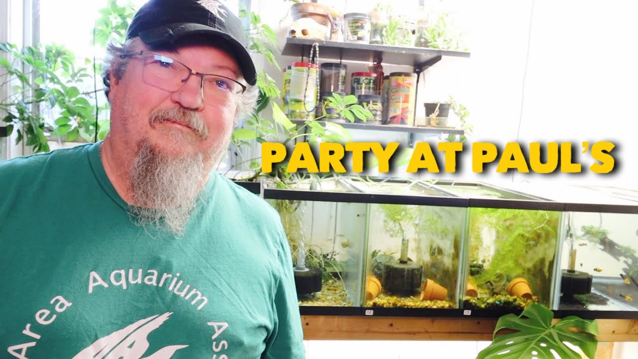 Paul VanBrug's Fish Room Tour