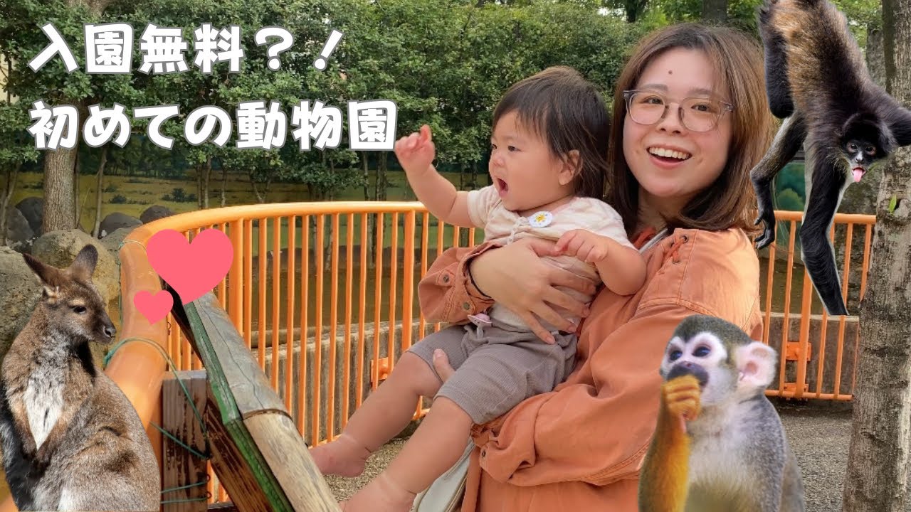 【入園無料の動物園？！】子どもが喜ぶ広場も有ります！