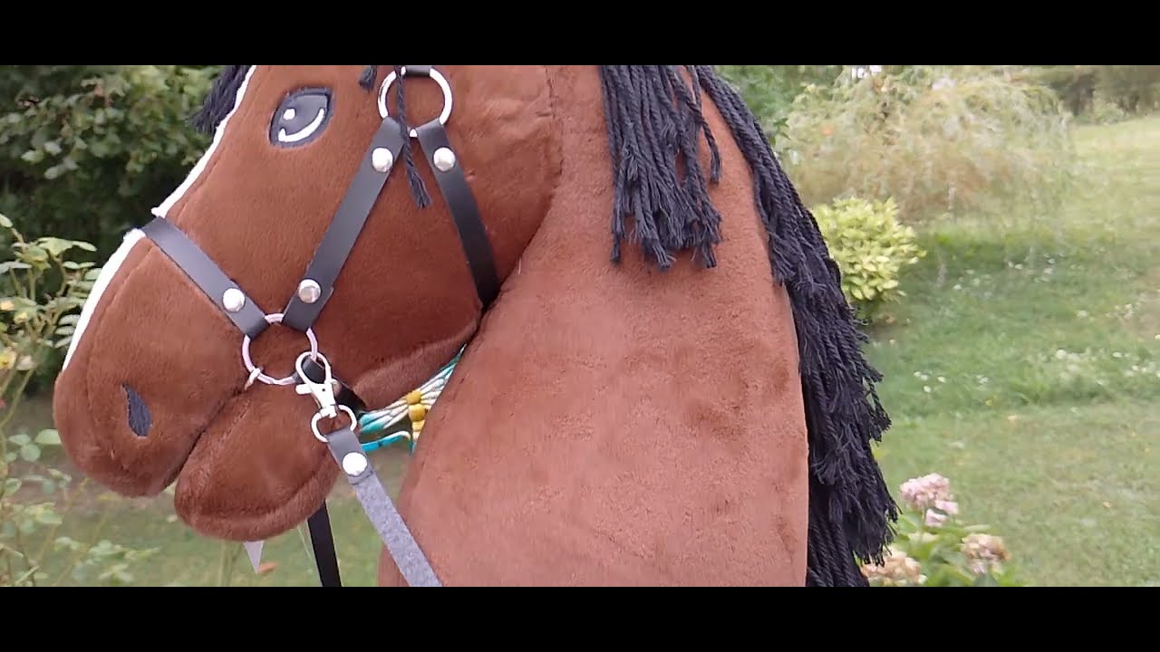 Unboxing SURPRISE de mon nouveau Hobby Horse 😱🎁 #unboxingsurprise #hobbyhorse #schleich