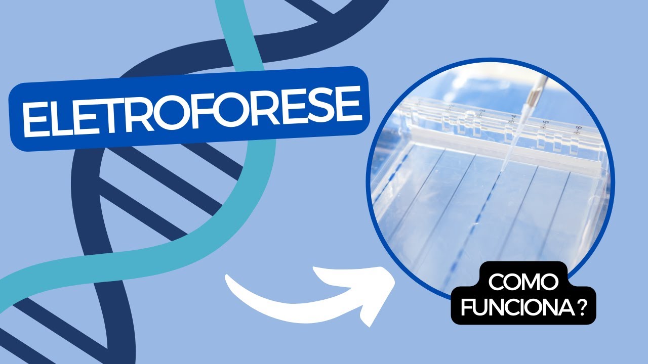 ELETROFORESE, O QUE É E COMO FAZER.