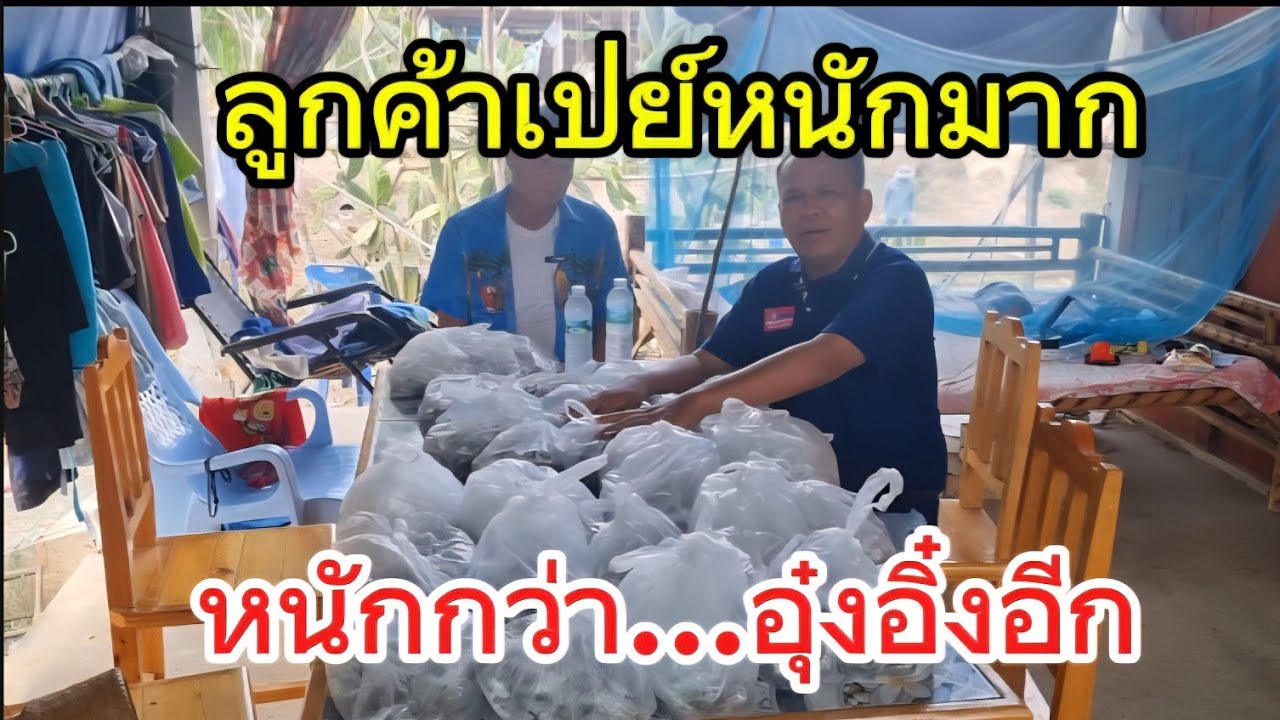 เกิดมาพึ่งเคยเห็น..พ่อช้างโดนเปย์หนักกว่า#อุ๋งอิ๋งเพชรบ้านแพง 