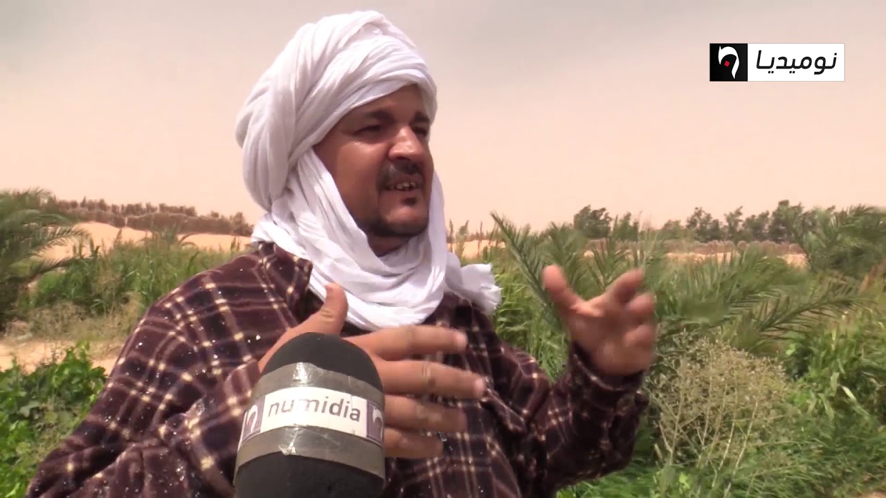 ورقلة: فلاح يرفع التحدي ويحول منطقة قاحلة إلى منتجة رغم العراقيل