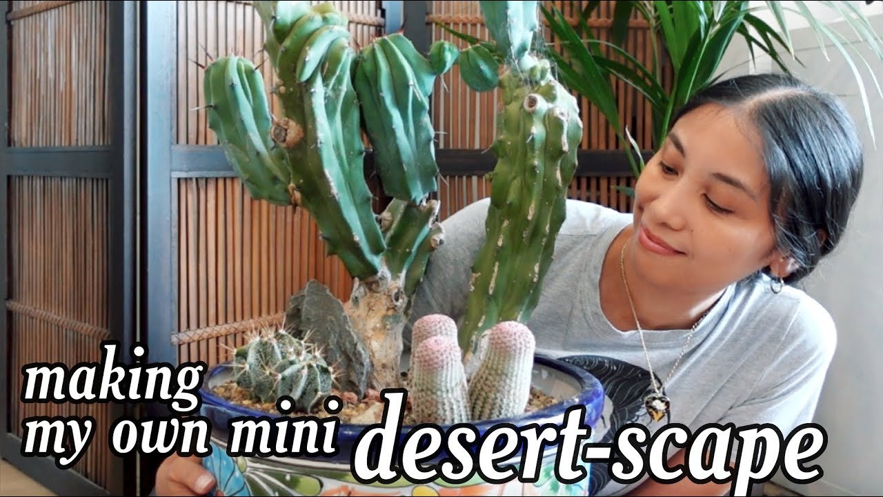 Making A Beautiful Mini Cactus Garden In A Colorful Pot
