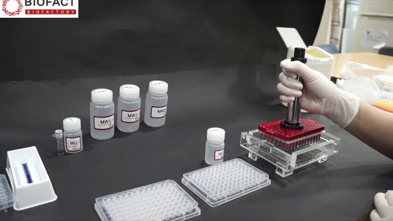 PCR purification /BioFACT / PCR cleanup kit / Magnetic bead type / 96well pipettor type