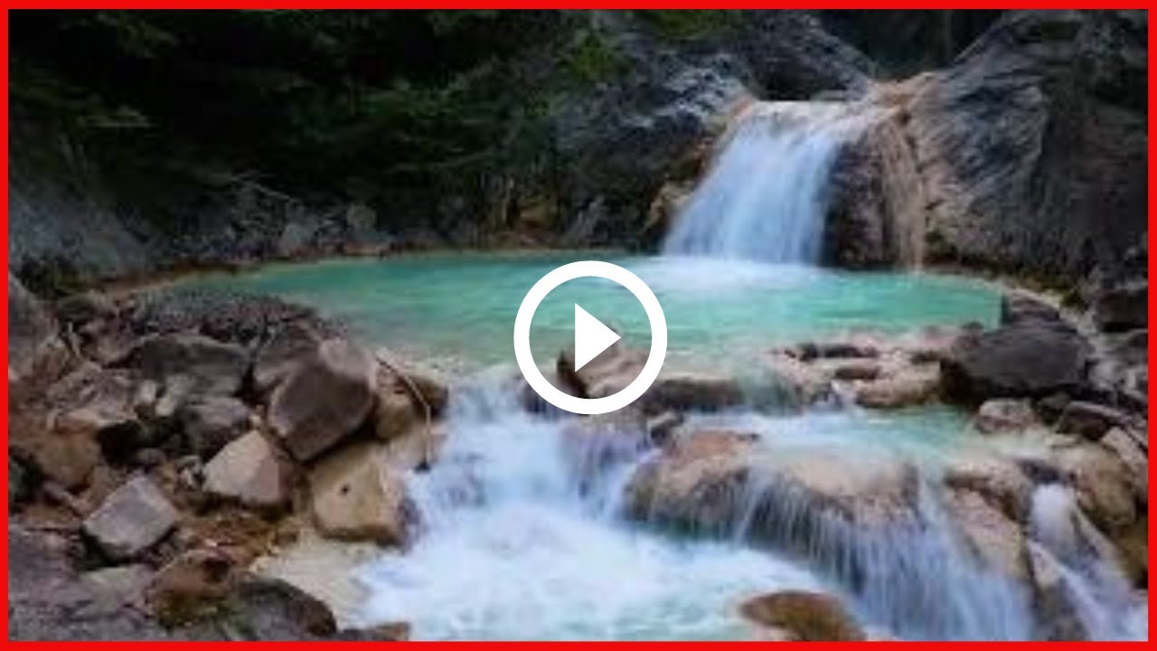 🔴Relaxing Music With River Flowing Sounds & Seagulls Chirping✅