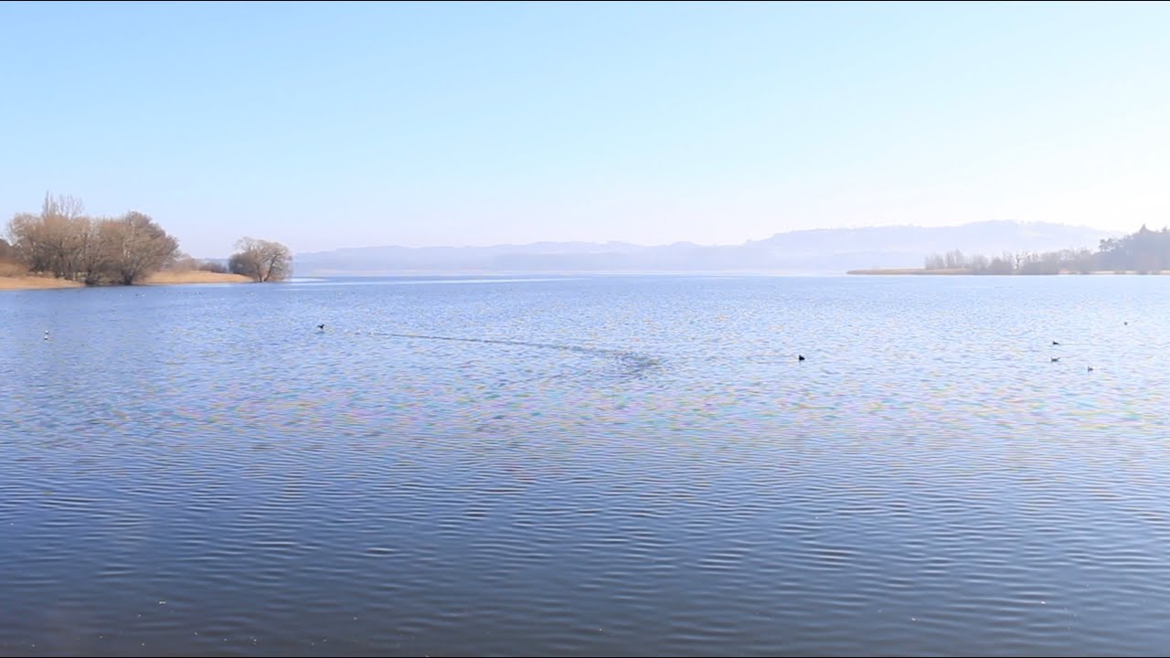 Discover why North Somerset has the best of all worlds...