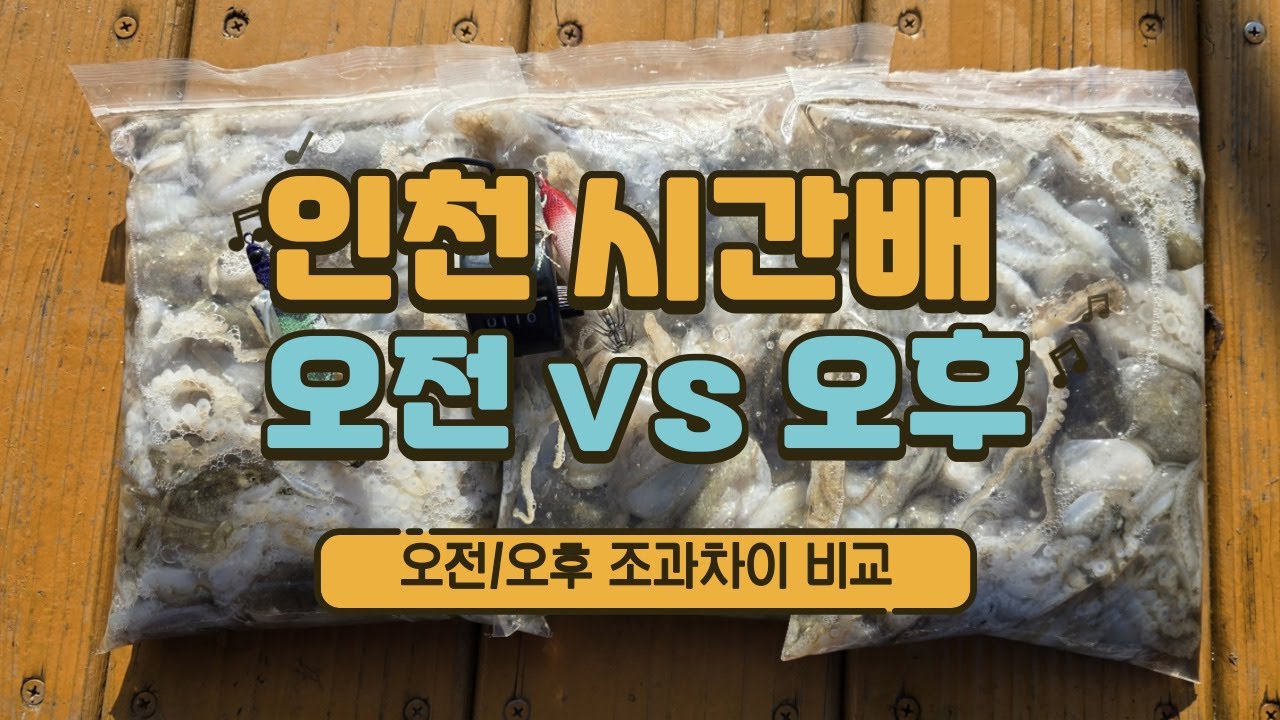 시간배 타면 과연 조과가 떨어질까? #쭈꾸미 #인천 #오이도 #한바다호