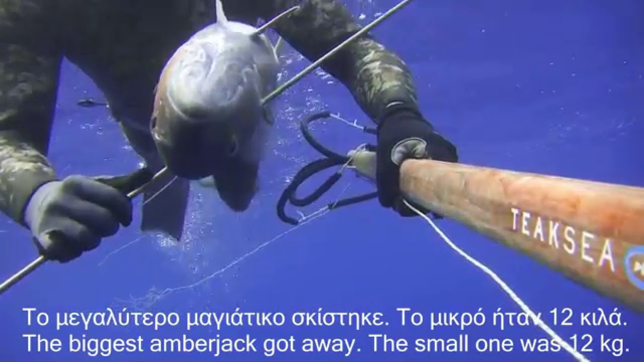 ΜΑΓΙΑΤΙΚΑ ΔΙΠΛΟΒΟΛΗ 12 & ~20kg / Double shot on AMBERJACK (RICCIOLA, SERIOLES, LIMONES, AKYA)