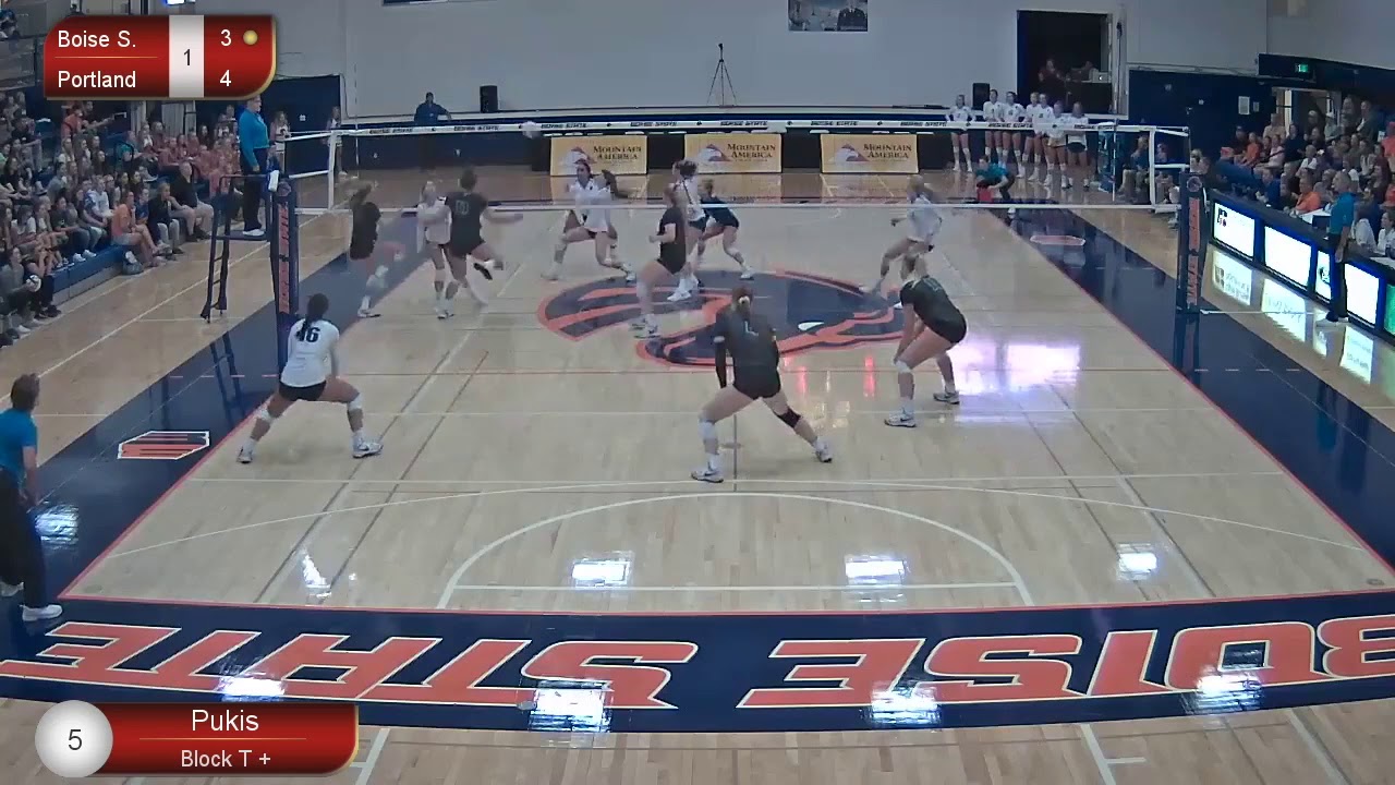 Highlight Film Reghan Pukis