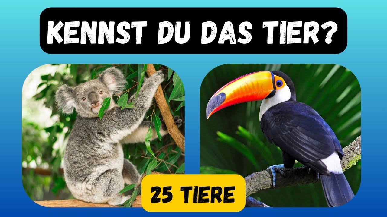 Erkennst du diese 25 Tiere? 🐘 Das gro&szlig;e Tierquiz f&uuml;r alle!