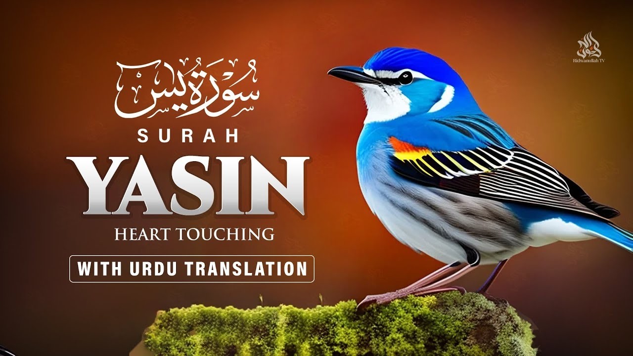 Beautiful Quran For Sleep | Al-Fatihah, Ayat Al-kursi, Yasin ,Ar-rahman ,Al-Waqiah, Al-Mulk