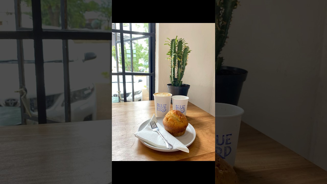 Tachycardia Juice Dealers Part 1: @BluebirdCoffeeRoastery  #coffee #caffeine #southafrica