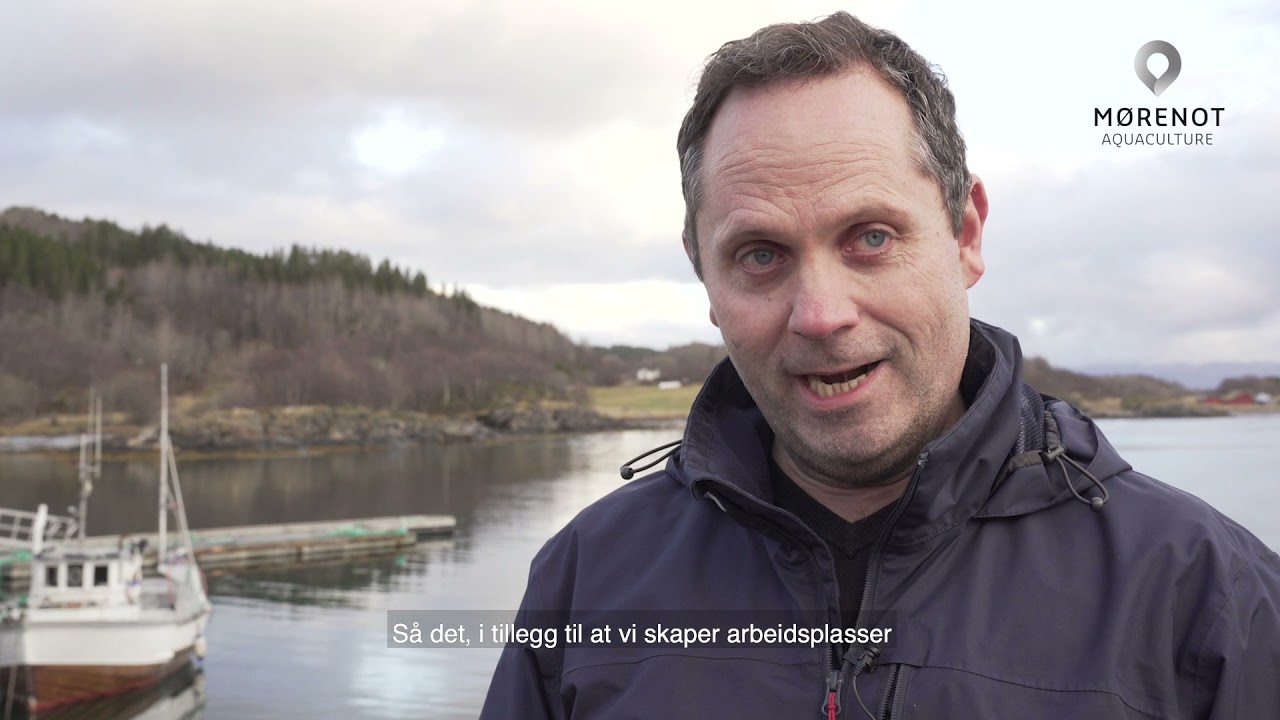 Mørenot Steigen