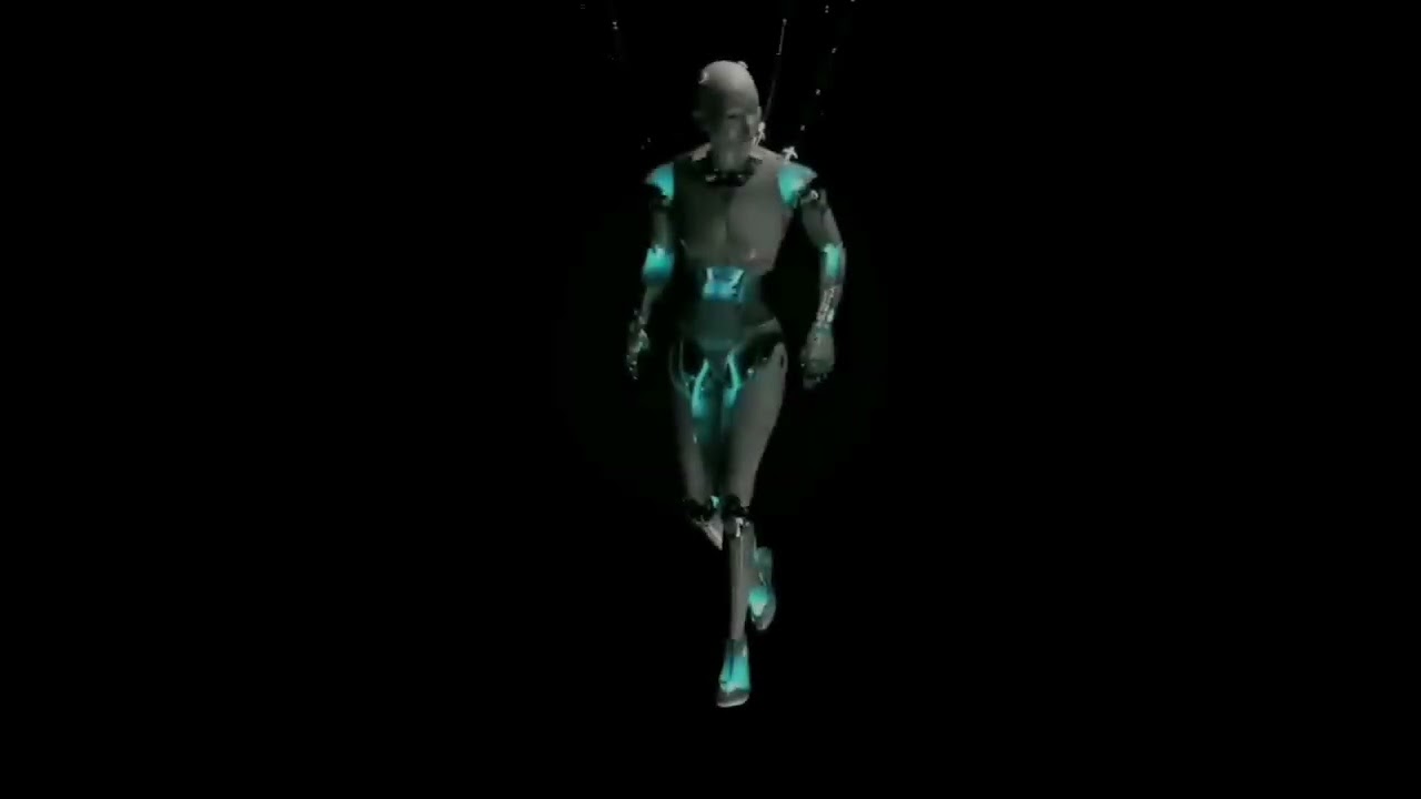Entity ( K - 481 )