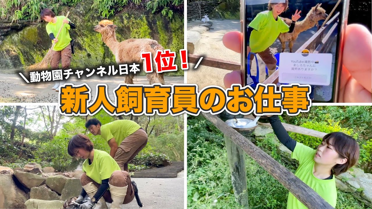 チャンネル登録者日本1位の動物園に入社した、新人飼育員のお仕事ルーティン