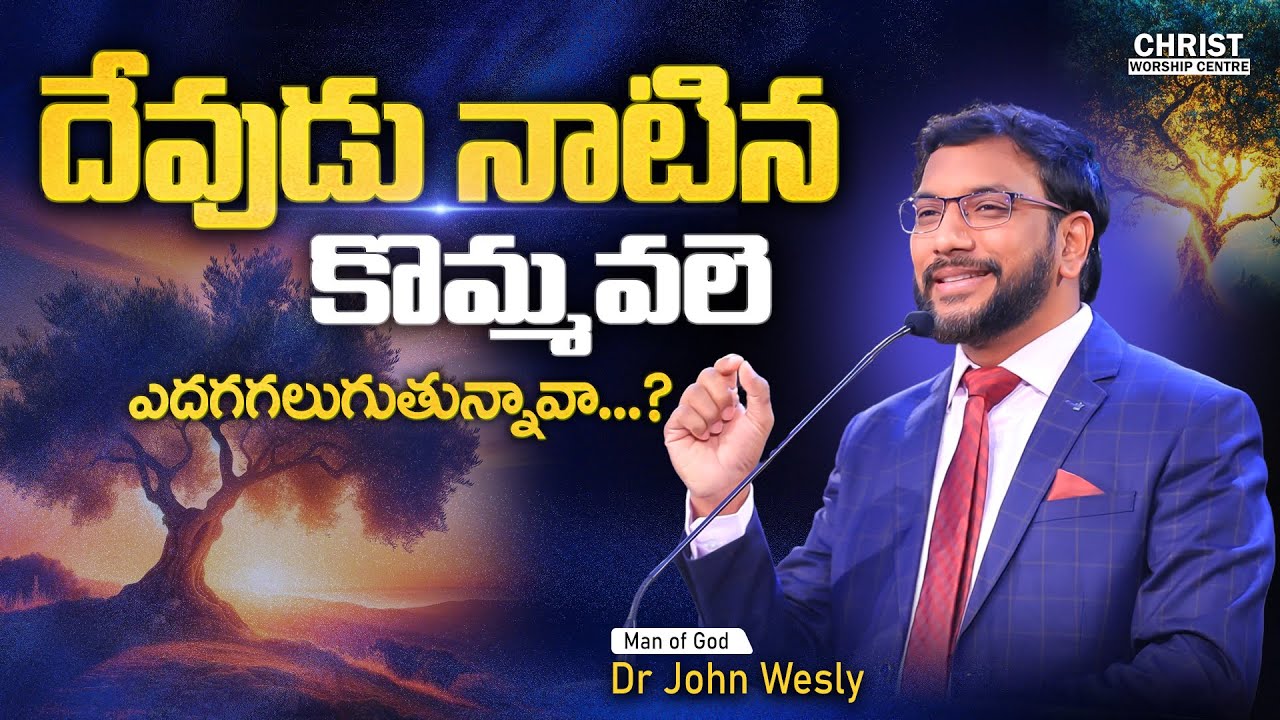 దేవుడు నాటిన కొమ్మవలె ఎదగగలుగుతున్నావా? ||Dr John Wesly Message|| #drjohnwesly