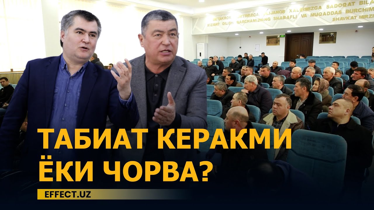 БЎСТОНЛИҚ: ҲОКИМ ЧОРВАДОР ФЕРМЕРЛАР МУАММОСИГА ҚАНДАЙ ҚАРАЙДИ?