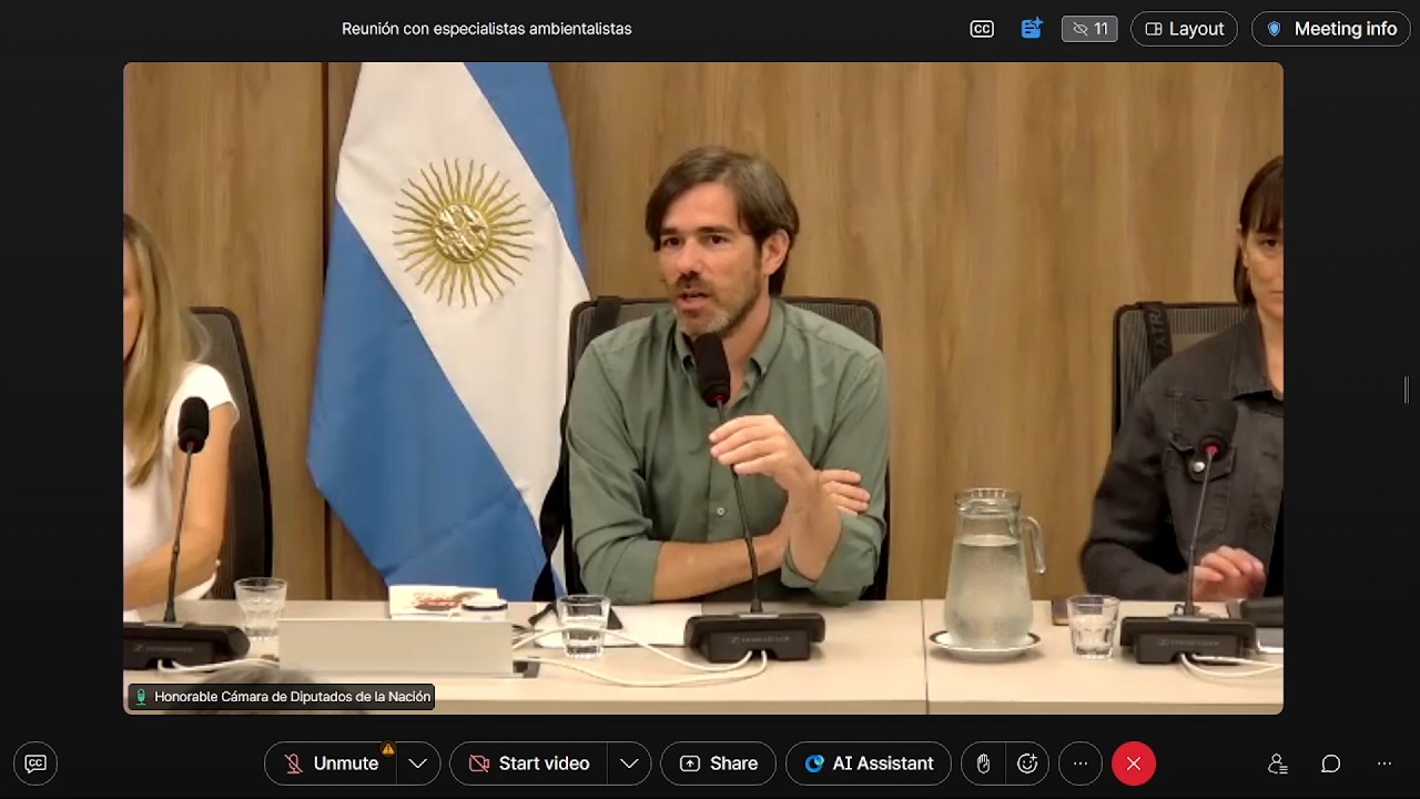 Rechazo a la reforma de la Ley de Glaciares en reunión de la comisión con organizaciones ambientales