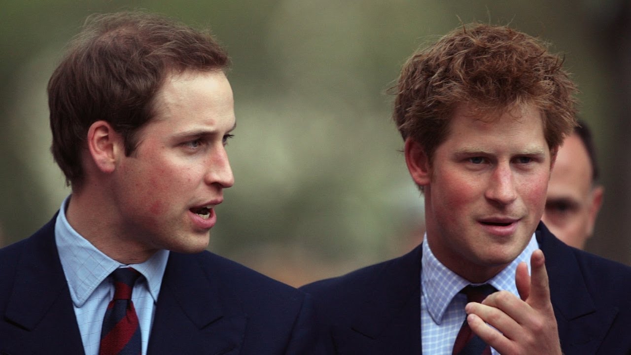 ‘No trust’: Prince William and Harry’s ‘complicated’ relationship