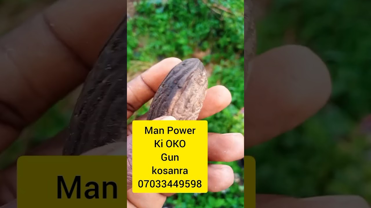 MAN POWER KI OKO GUN KOTOBI