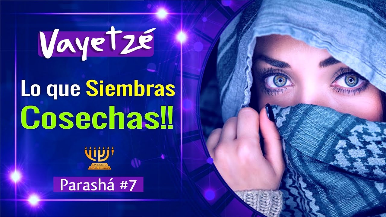 Se COSECHA lo que se SIEMBRA!! │Parashat VAYETZE │Uziel García EN VIVO!!