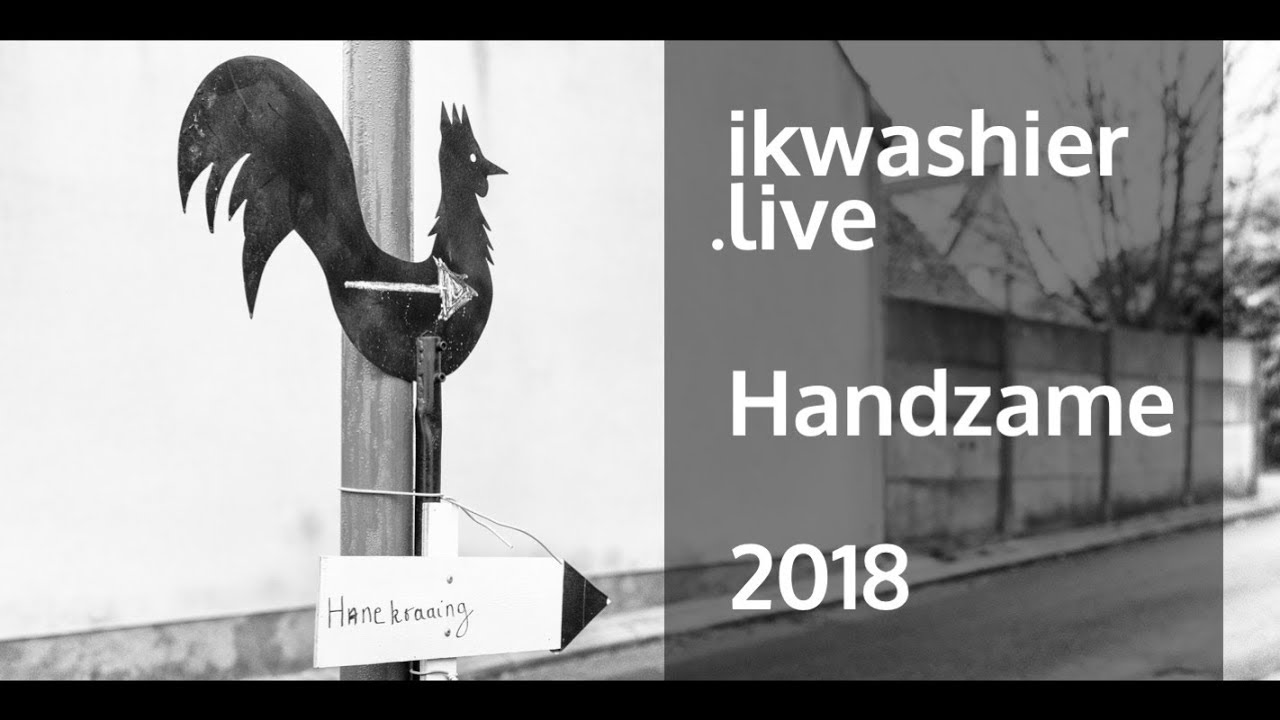 Hanenzetting of hanenkraaiing met 30 krielhaantjes in Handzame - ikwashier.live (feestelijke versie)