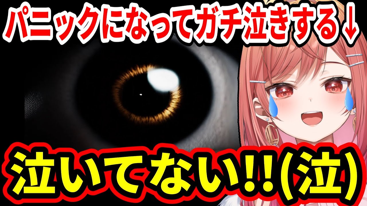 【閲覧注意】ホラーゲームが怖すぎてガチ泣きするが強がる一条莉々華が可愛すぎるｗ【ホロライブ/一条莉々華/ReGLOSS/原枝恚子さん怪死事件/切り抜き】