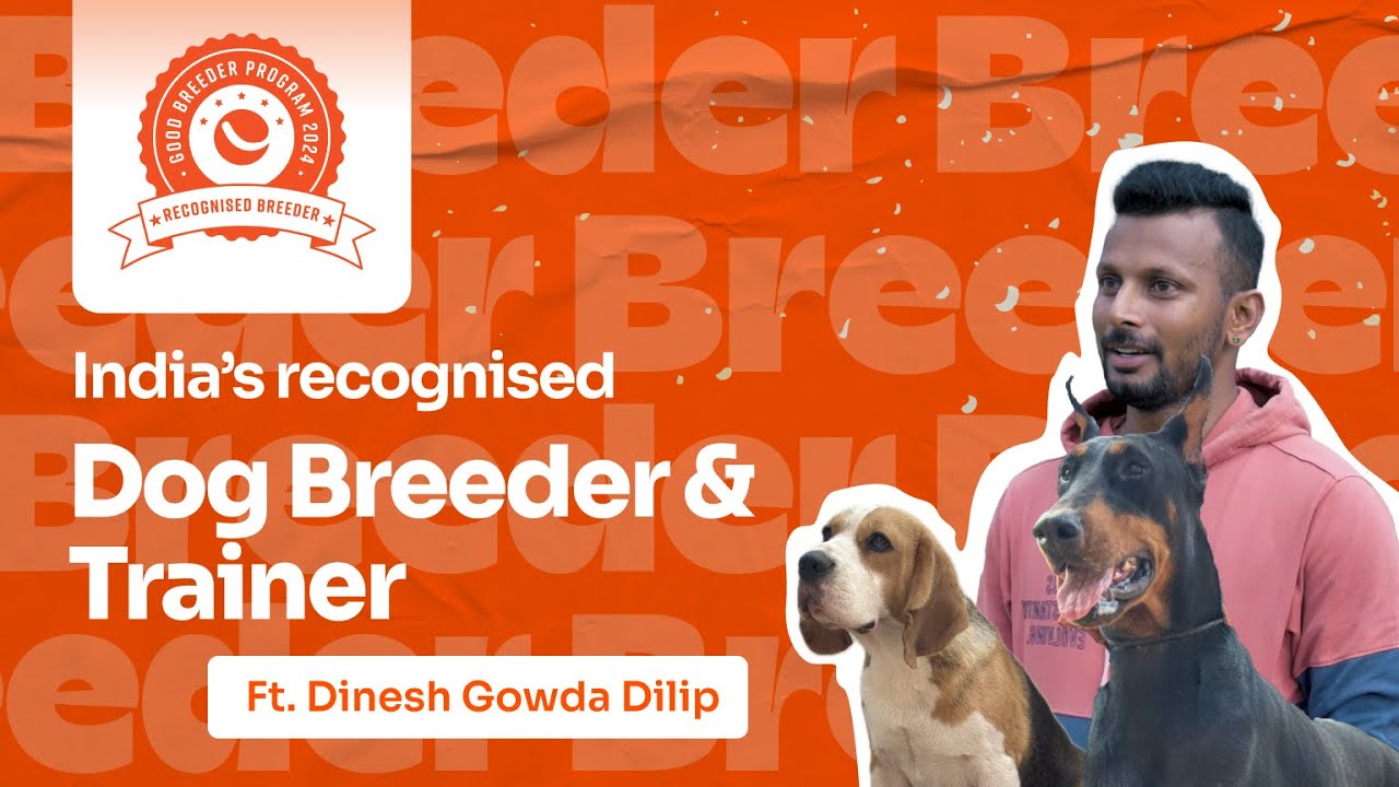 Dog Breeder, Handler & Trainer Insights | Breeder Journey Ft. Dinesh Gowda | Happy Pet India