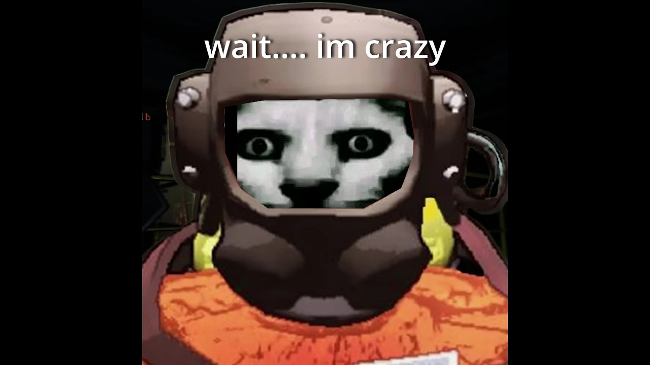 wait, we're crazy