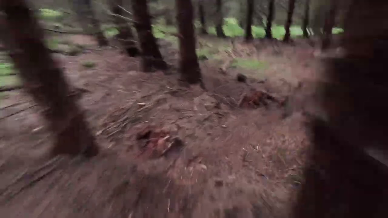 The 13 Off-Piste trails, of Gisburn Forest 