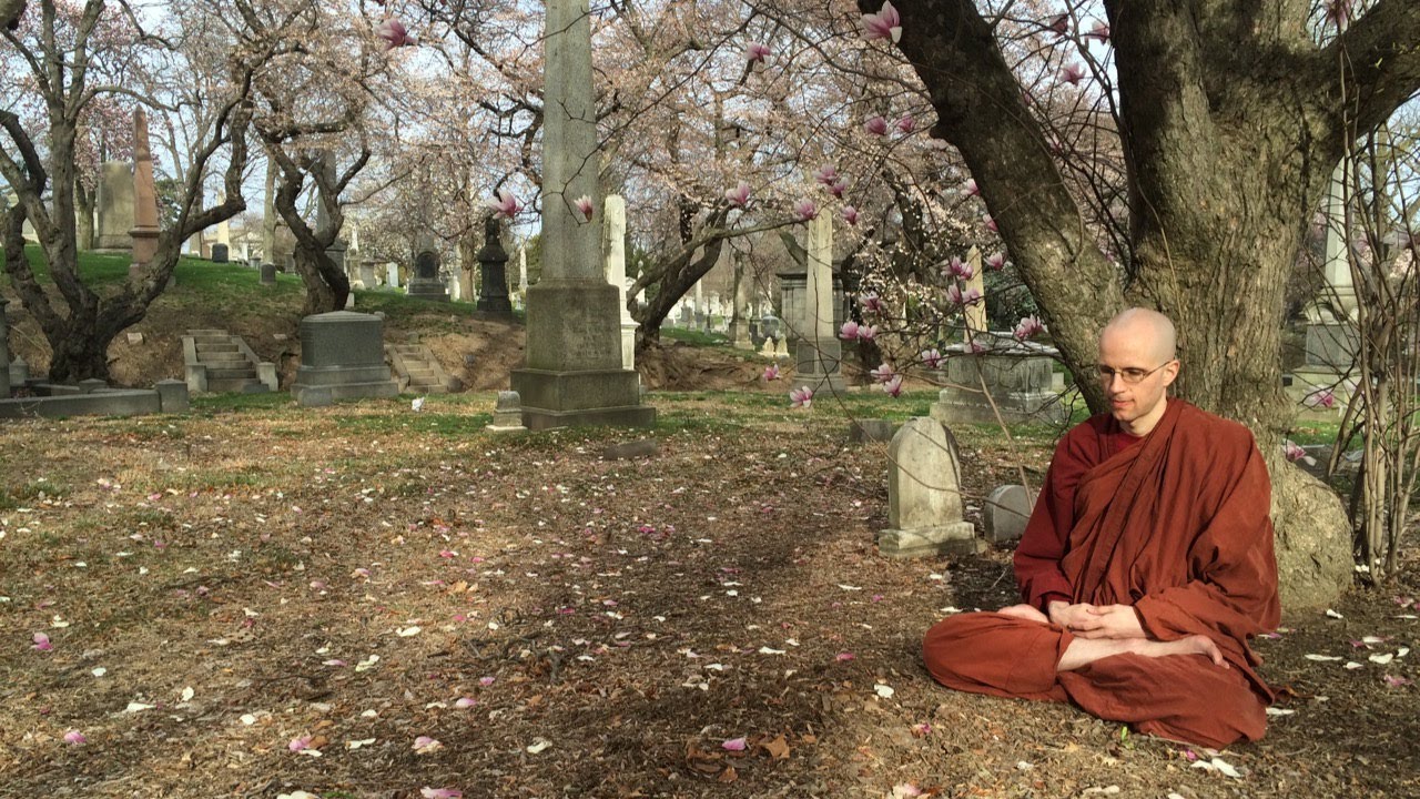 Sutta Study with Bhante Suddhaso - Discriminiative Wisdom (AN 5.95)