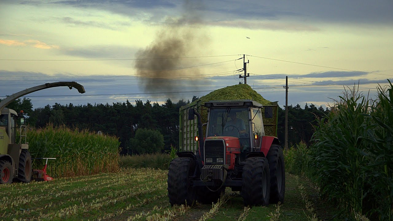 Kukurydza z Claasą czyli Kukurydza na Kiszonkę 2020!🔥Diesel musi dymić🔥Jelonek na pryzmie🔥