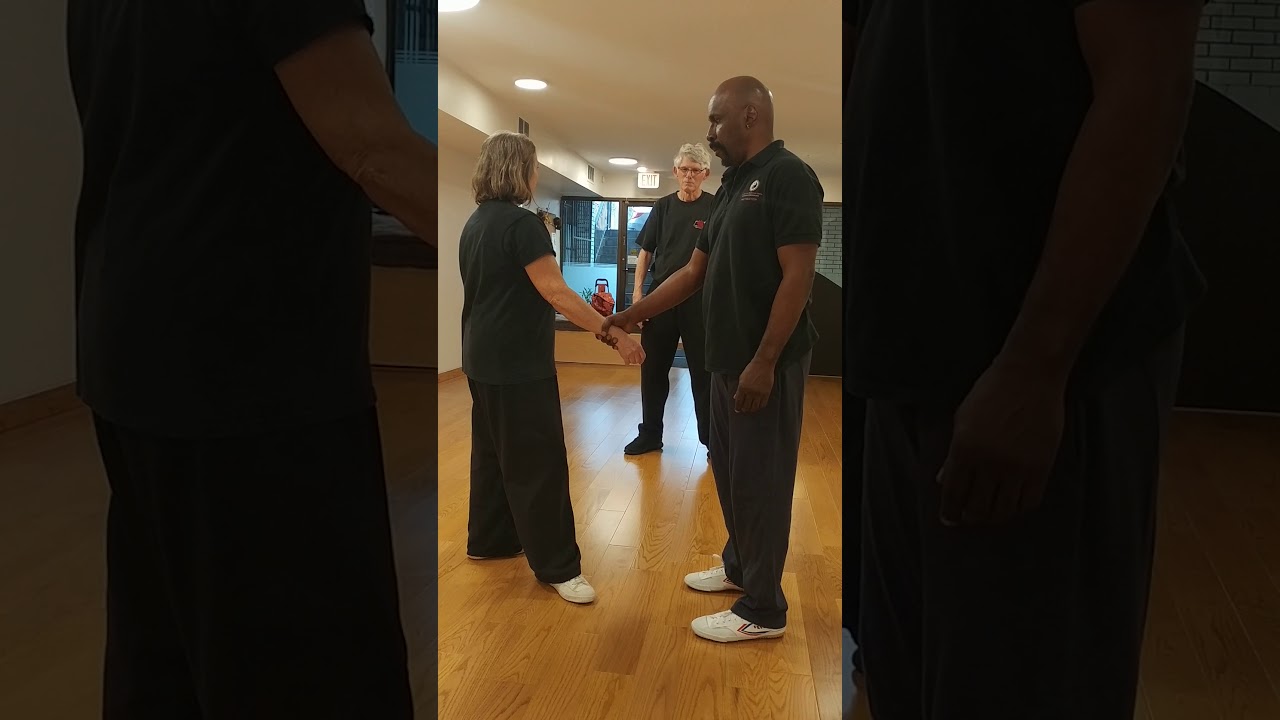 Tai Chi applications with Shifu Donna Oliver, April 2018
