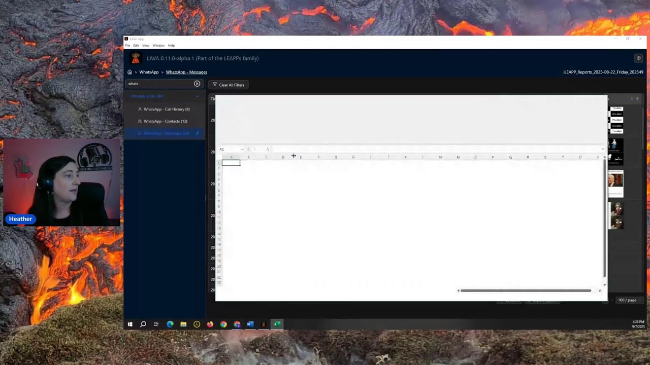 LAVA usage demo! (LEAPPs Artifact Viewer App)