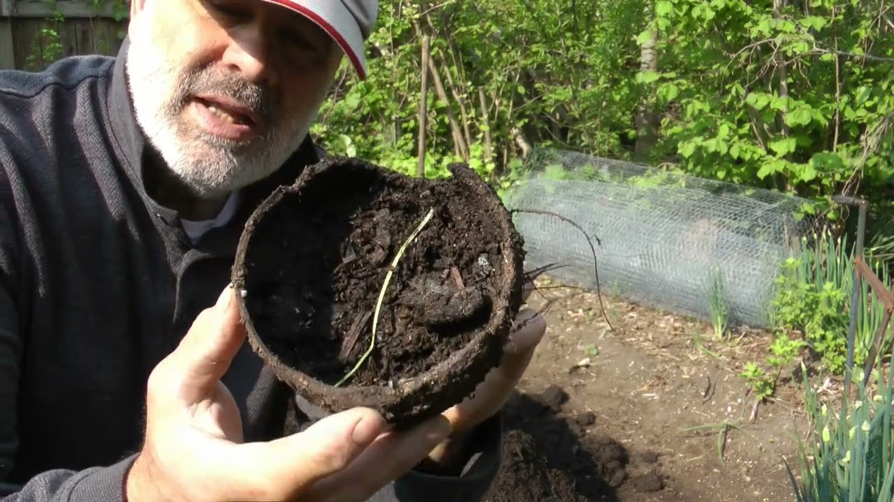 Composting and talking smack to those who don't (among other smack attack) (plus certain insights)