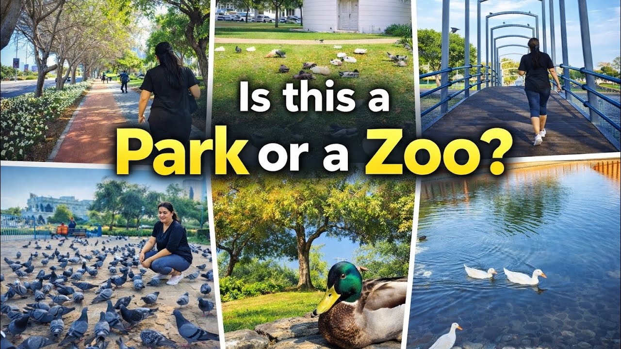 Hindi Ito Zoo… Pero Puno ng Animals?! Abu Dhabi Lake Park! Sobrang Ganda Dito! Tara na!