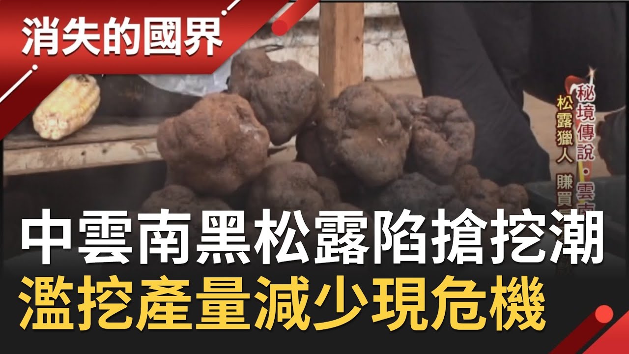 中國雲南餐桌上的鑽石
