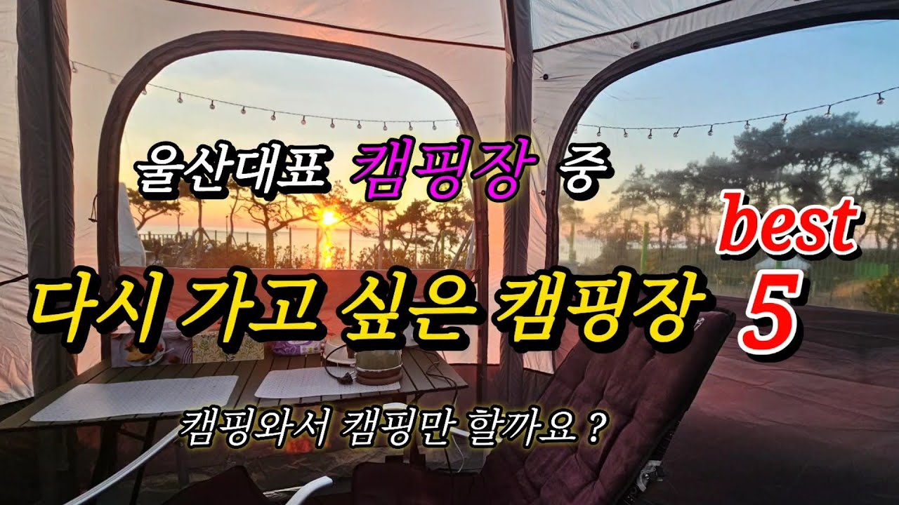 직접 가 본 캠핑장 중 다시 가고 싶은 캠핑장 5곳 선정!/지자체에서 운영/깔끔하고,저렴한 가격 #스타랙스캠핑카 #차박여행