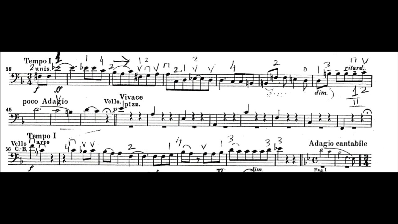 Beethoven 9th Symphony Mov.4 Cello Orchestra Audition Excerpt with Score