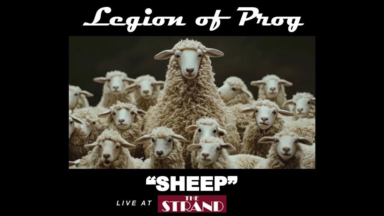 Legion of Prog - Sheep